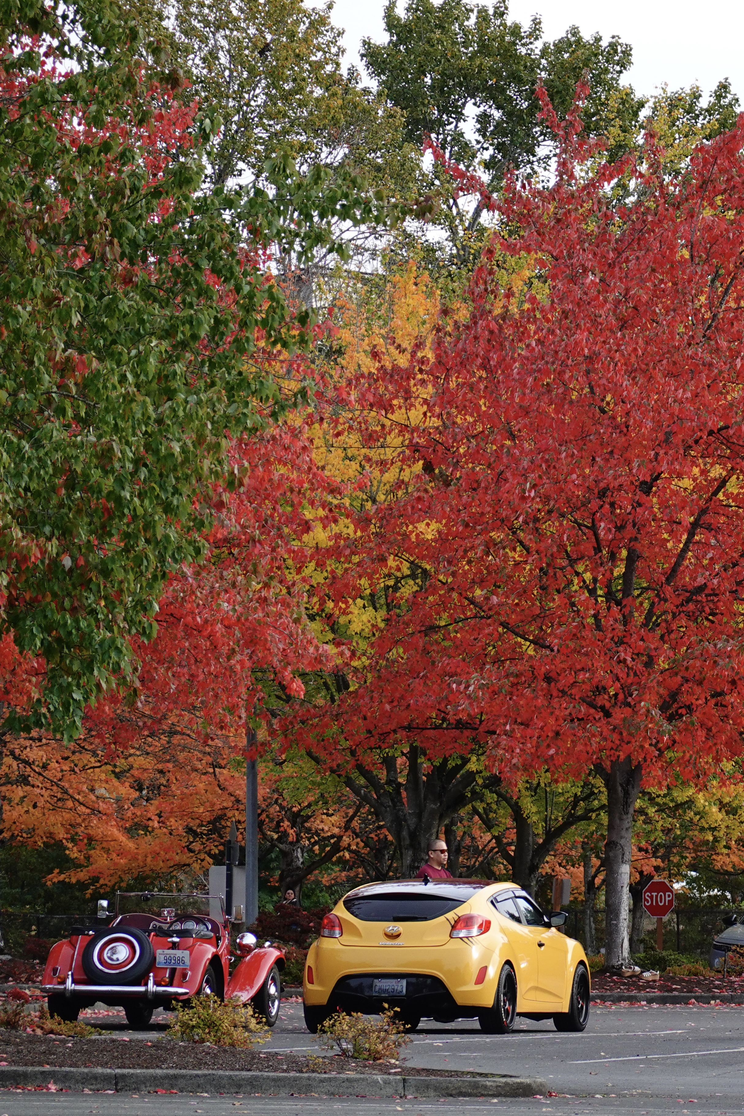 Landscape photography